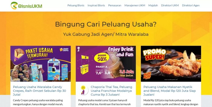 contoh iklan dengan tema bisnis online