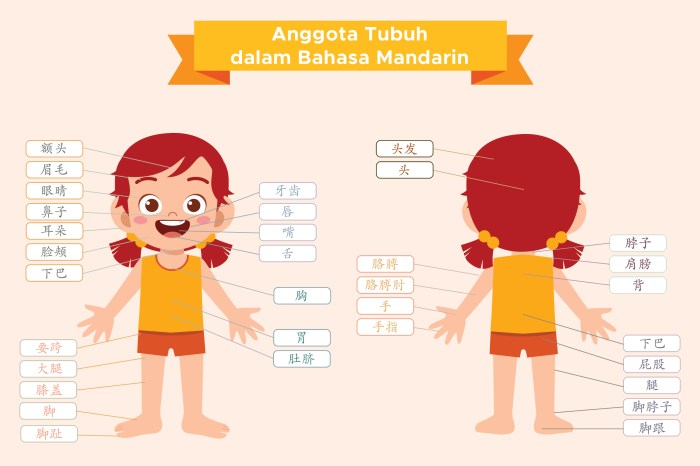 sunda bahasa halus anggota tubuh kosakata