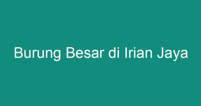 burung besar di irian jaya terbaru