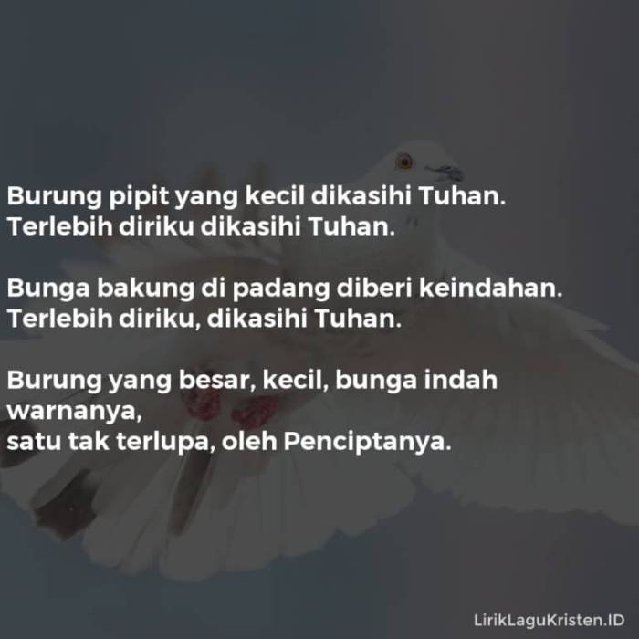 burung pipit yang kecil lirik