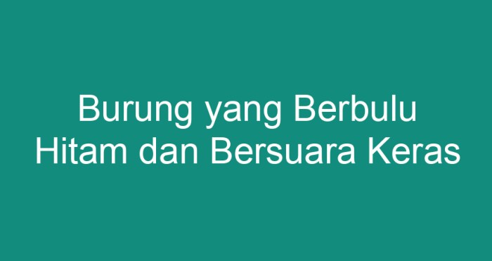 Burung yang berbulu hitam dan bersuara keras