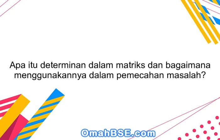 apa itu determinan matriks