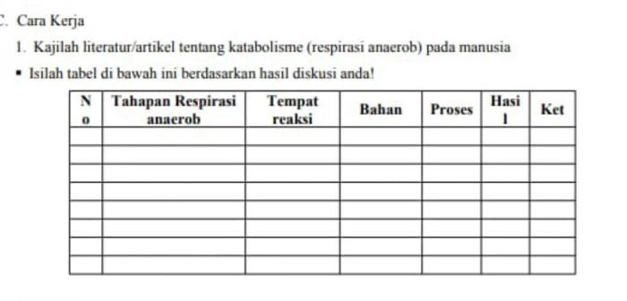 tabel tahap respirasi aerob