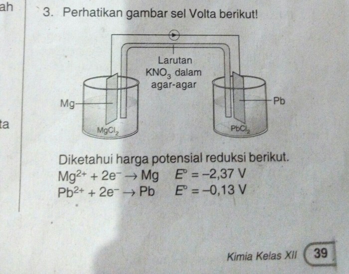 kesetimbangan sel konstanta potensial hubungan sma kimia