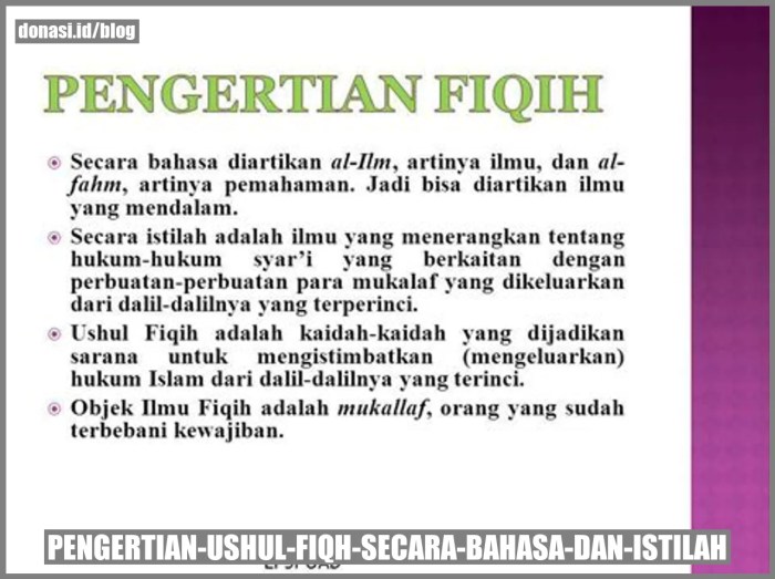 ushul fiqh secara bahasa dan istilah