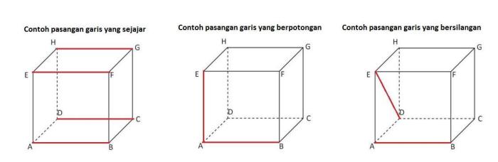 garis bersilangan pada kubus