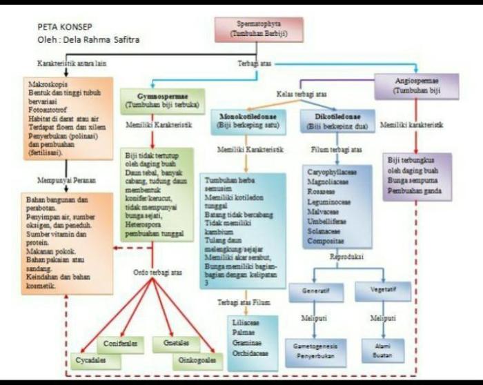 mind mapping reproduksi tumbuhan terbaru