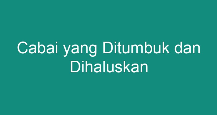 cabai dki swadayaonline lahan tidur kebutuhan produksi cilincing manfaatkan petani memasok wilayah memenuhi pertanian ketersediaan terus termasuk seluruh