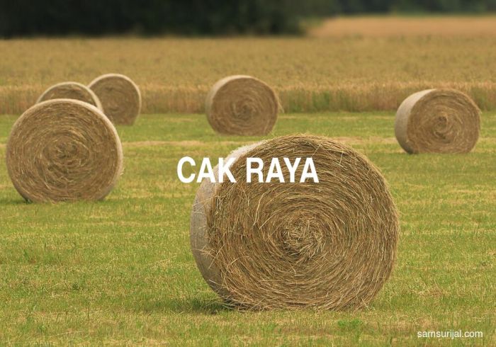 arti cak dalam bahasa jawa terbaru