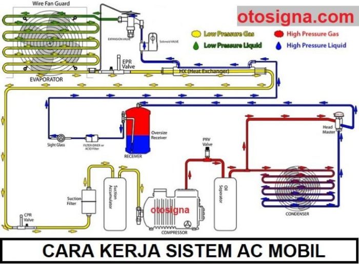 sistem operasi jaringan