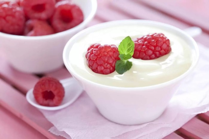 pembuatan yoghurt