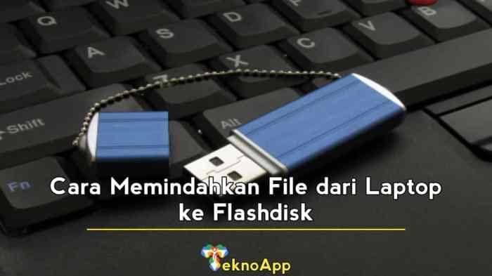 cara memasukan flashdisk ke laptop