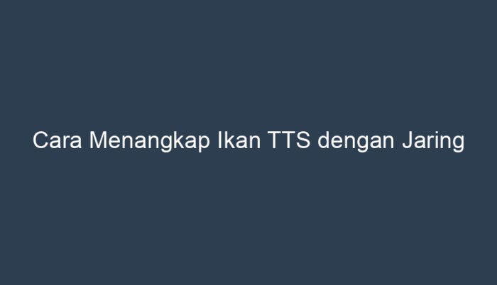 jaring untuk menangkap ikan tts