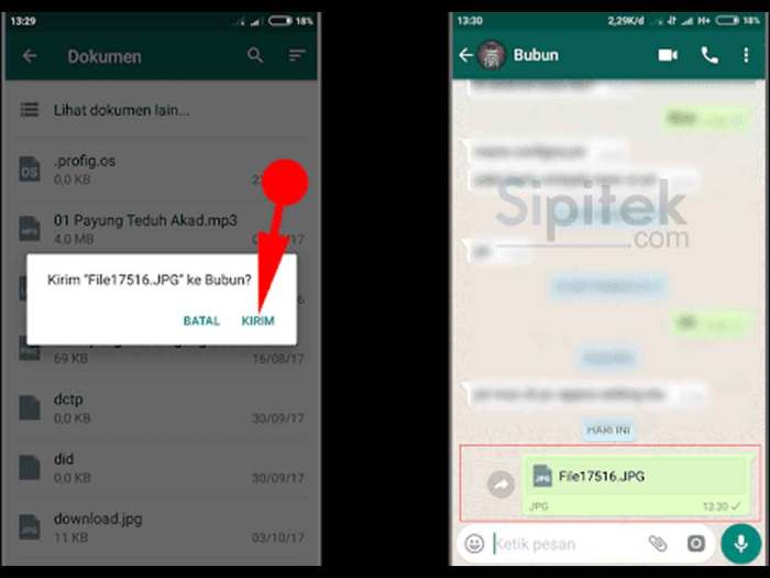 cara mengirim email ke whatsapp