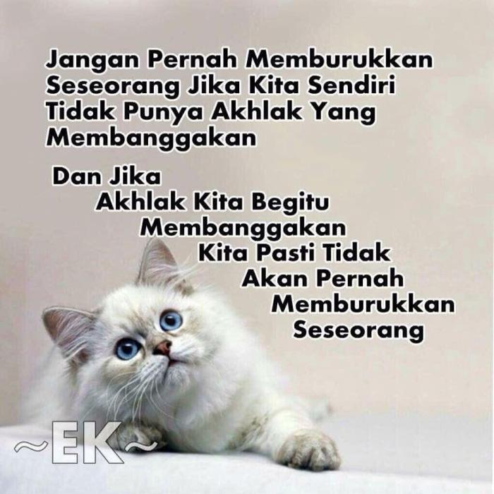 contoh teks lho tentang kucing