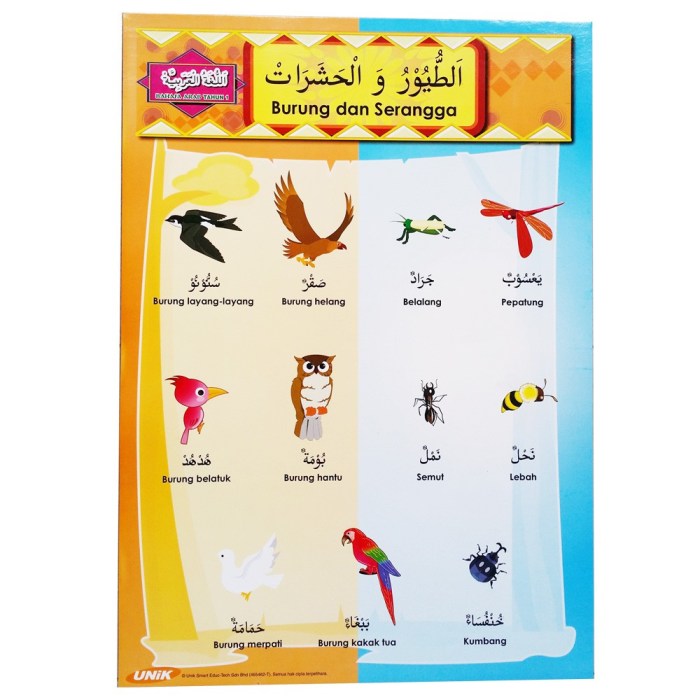 bahasa arab burung elang terbaru