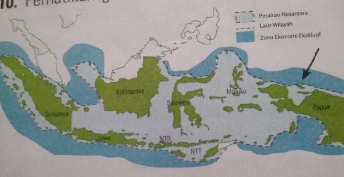 mutiara laut kerang selatan penghasil pinctada maxima hendrawardhana