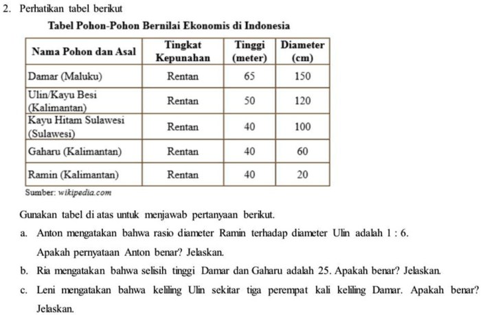 leni mengatakan bahwa keliling ulin terbaru