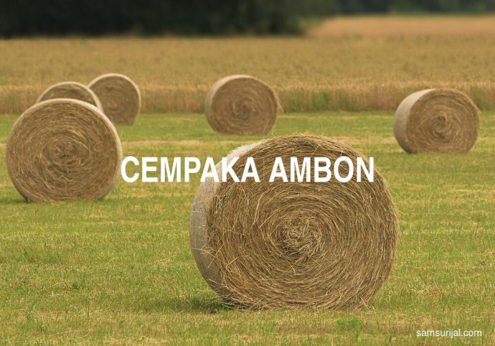 arti parlente bahasa ambon