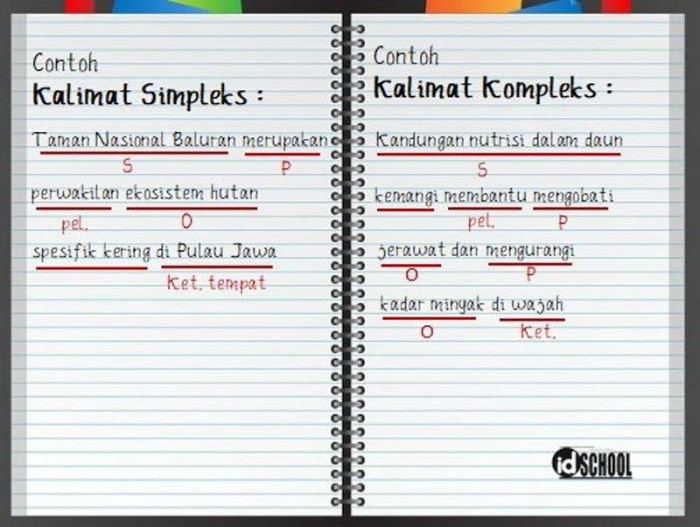 contoh kalimat kompleks dan polanya