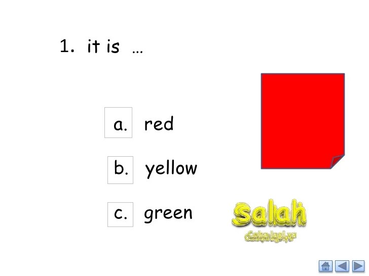 soal bahasa inggris warna