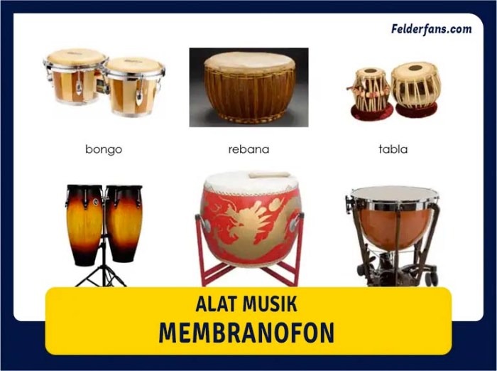 alat musik gesek tiup pukul petik tekan ritmis macam tradisional dimainkan rebab biola