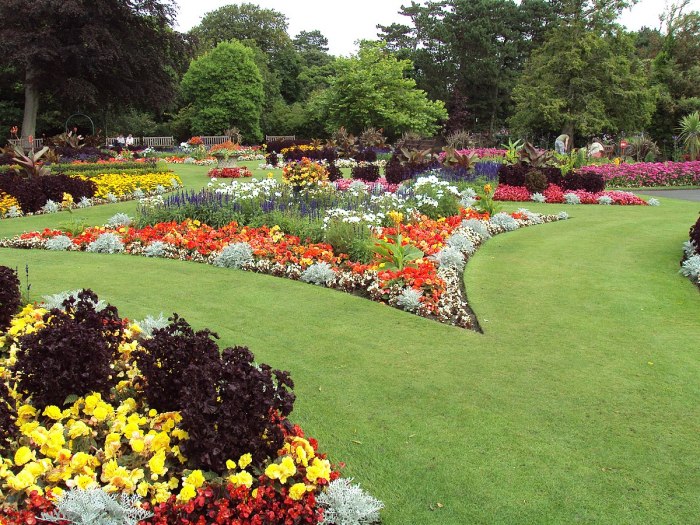 contoh bedding plants adalah