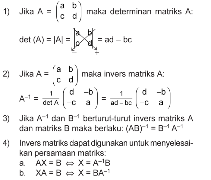 apa itu determinan matriks