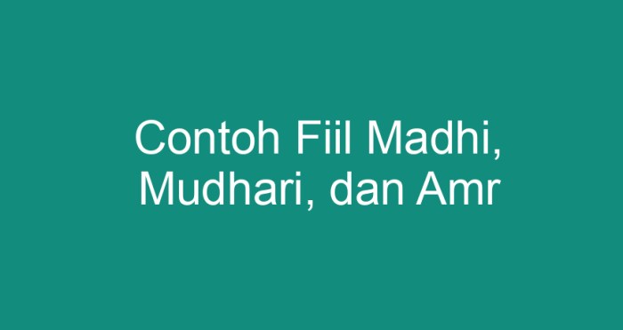 contoh fiil madhi mudhari dan amr