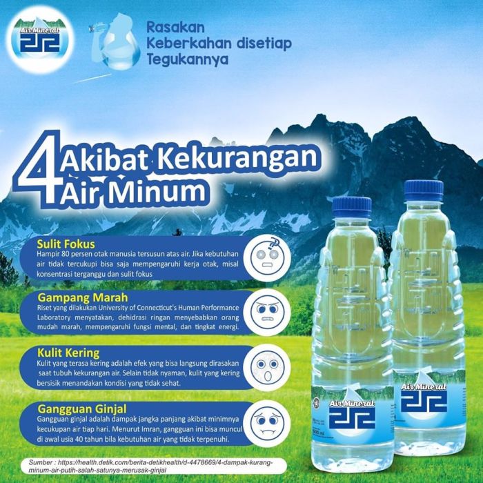 kemasan desain mineral branding jasa