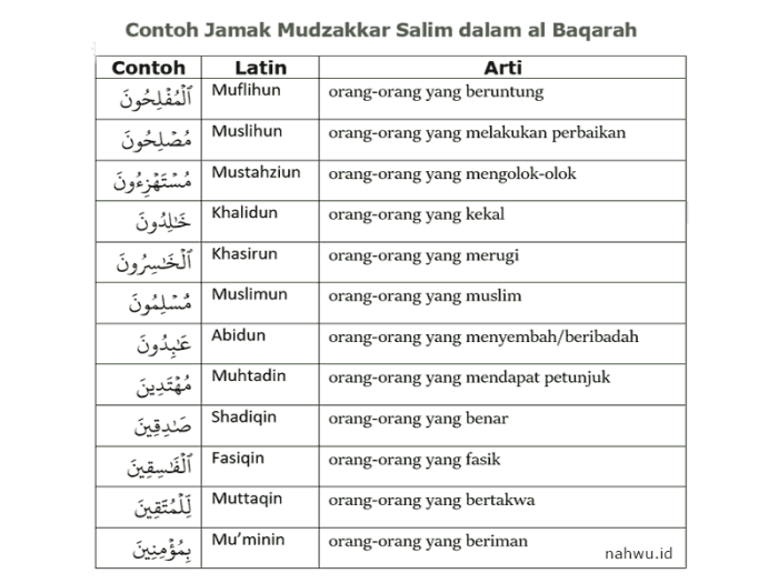 jamak taksir isim benda dari kali yaitu