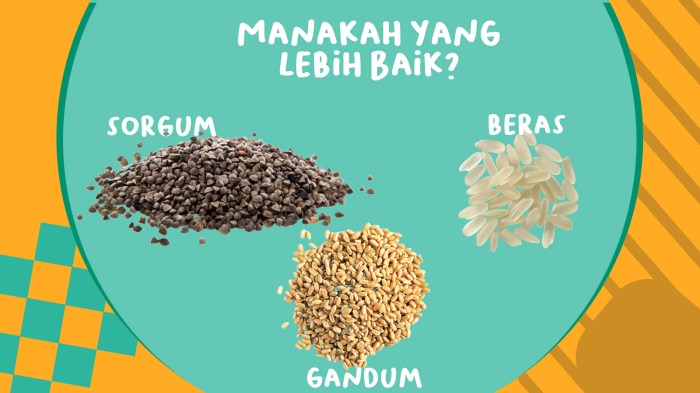 gandum beras sorgum kecipir lebih