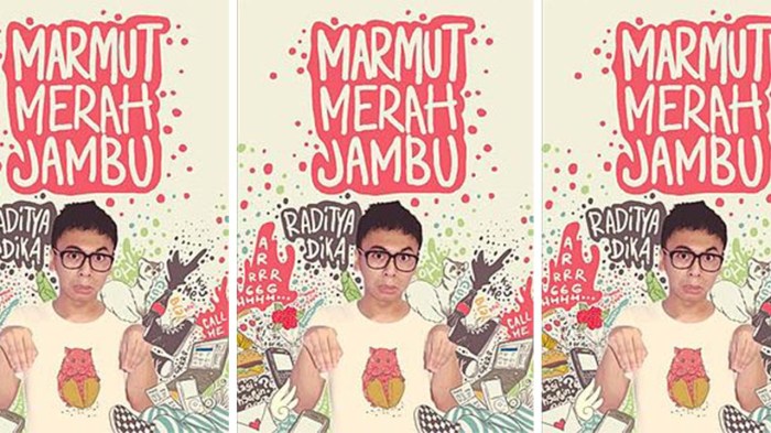 resensi novel marmut merah jambu