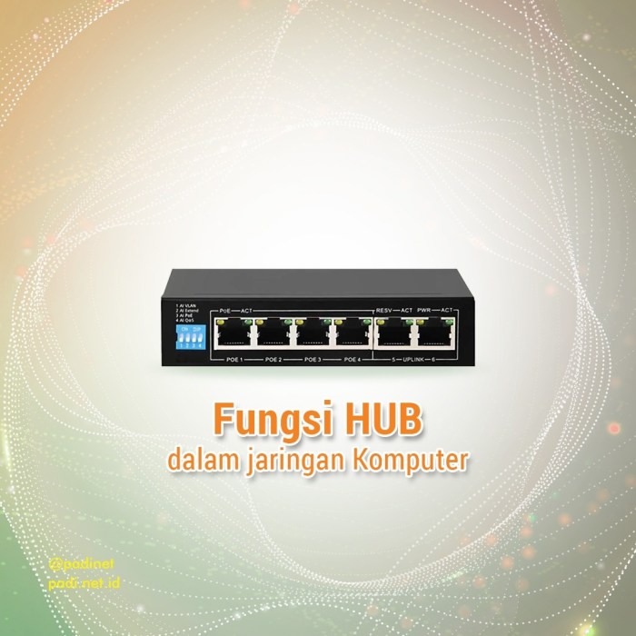 fungsi