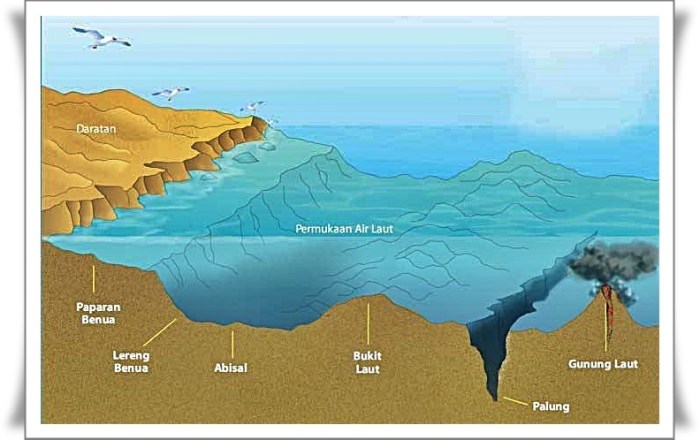 jurang yang berada di dasar laut