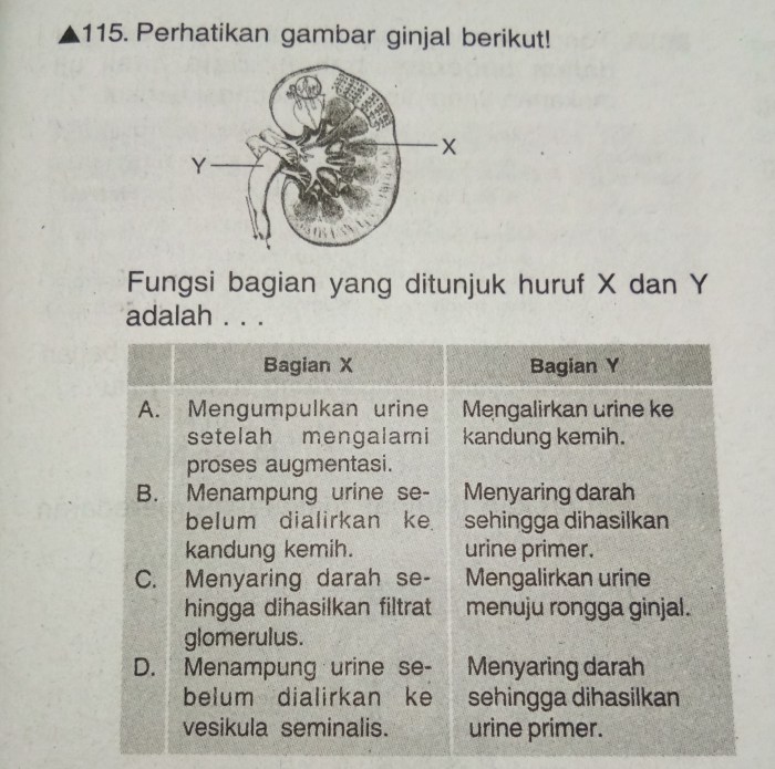 Fungsi bagian yang ditunjuk huruf x adalah