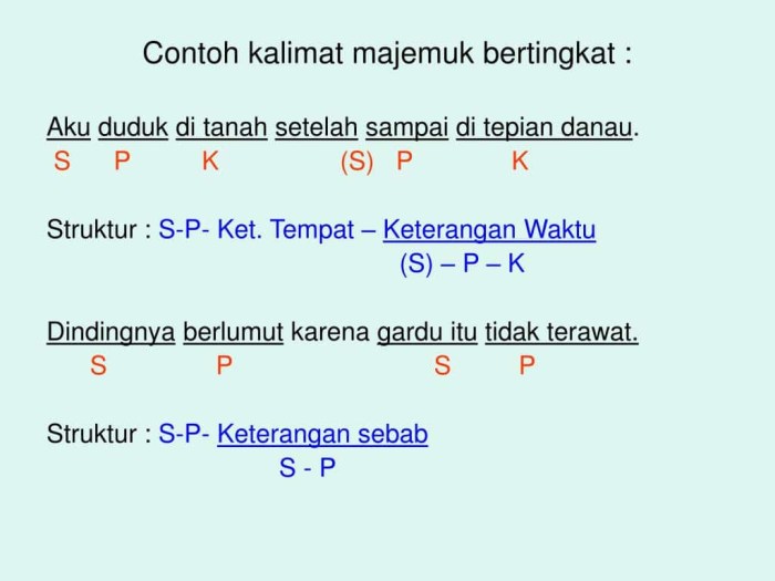 contoh kalimat pre modifier