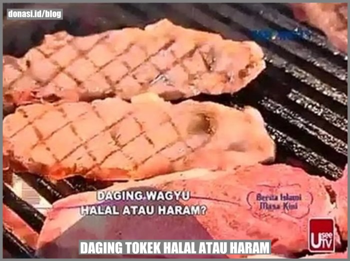 daging tokek halal atau haram