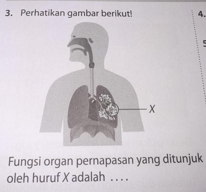 Fungsi bagian yang ditunjuk huruf x adalah