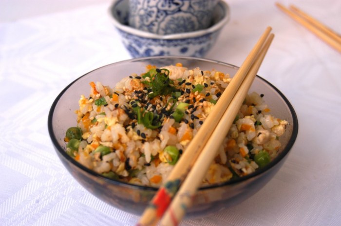 nasi jepang goreng