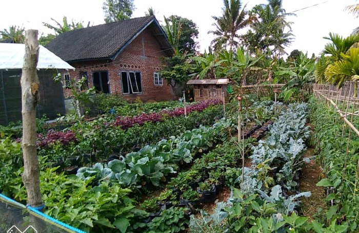 upaya meningkatkan ketahanan nasional terbaru