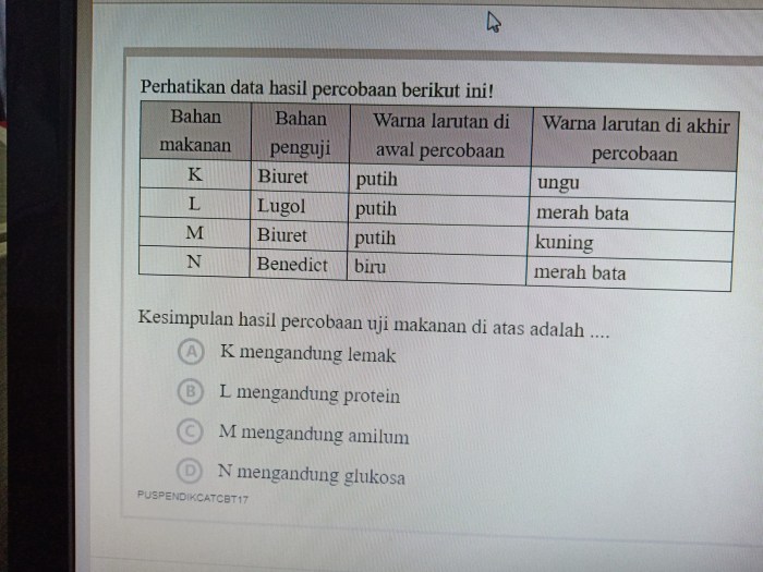 laporan praktikum uji amilum