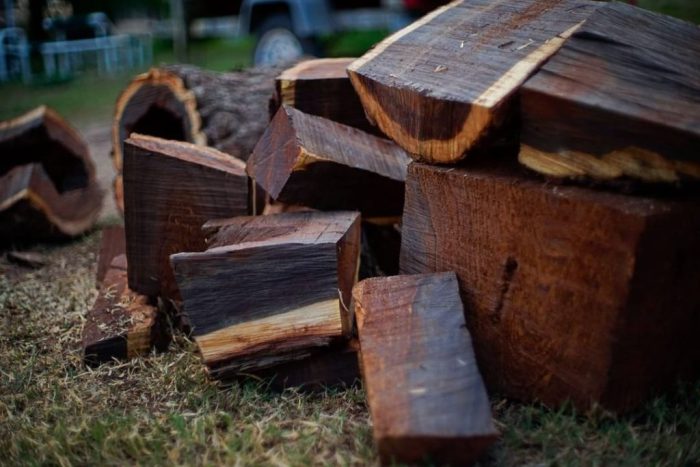 kayu hitam dikenal sebagai daerah penghasil sulawesi courtina