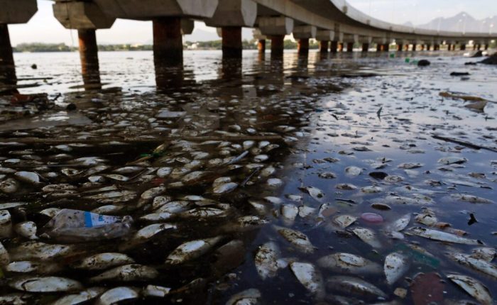 danau pencemaran sungai limbah dampak industri peternakan manusia disebabkan penduduk bahan