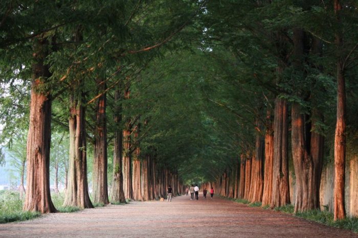 bahasa jepang jalan jalan