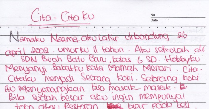 cita citaku ingin menjadi dokter