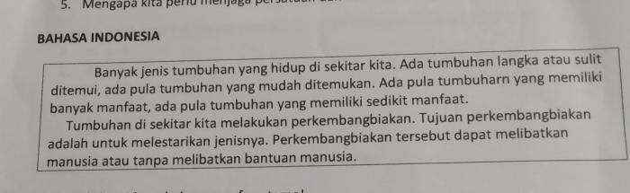 ide pokok paragraf kedua tersebut adalah