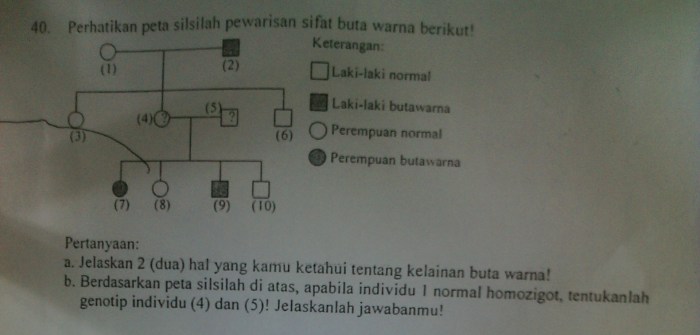 contoh soal persilangan hemofilia terbaru