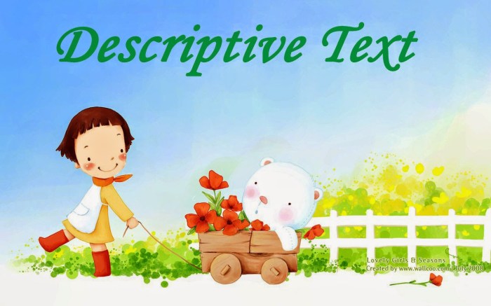 function of descriptive text