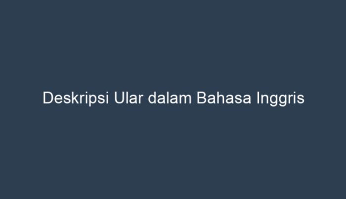 deskripsi ular dalam bahasa inggris